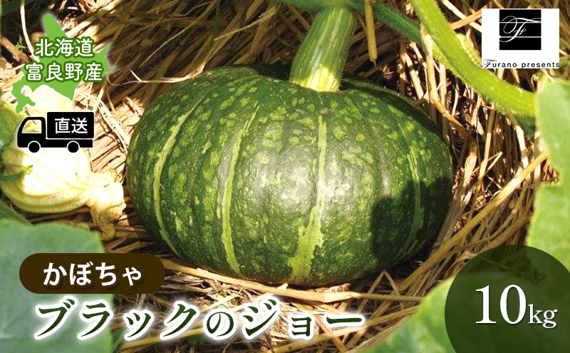 【2024年9月～発送】北海道 富良野市 かぼちゃ ブラックのジョー 10kg ふらの 野菜 カボチャ 数量限定 (フラノプレゼンツ)