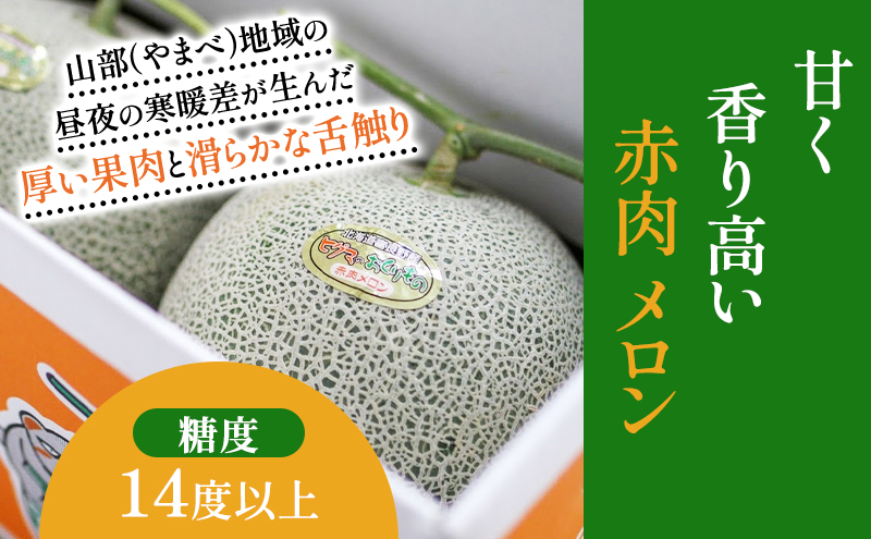 【2026年夏発送】富良野産 ヒグマのおくりもの(メロン)[1玉2kg以上] フルーツ 果物