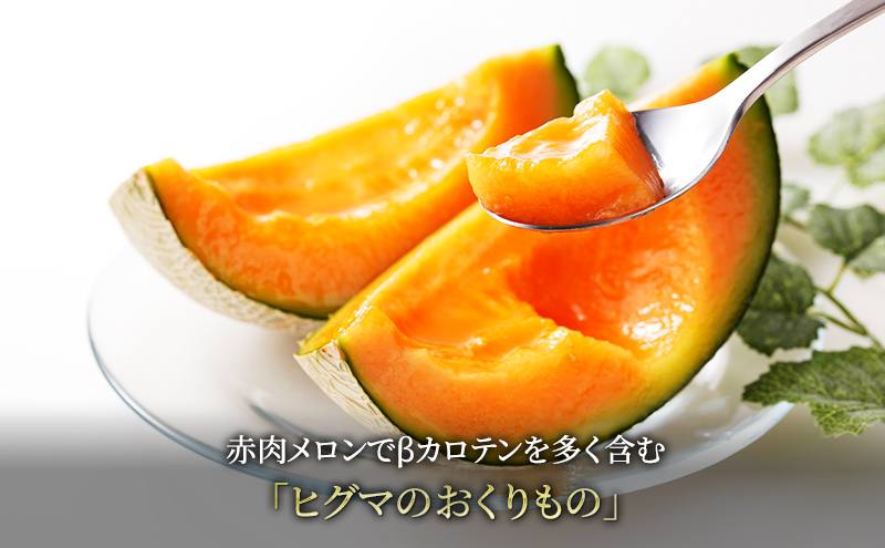 【2026年夏発送】富良野産 ヒグマのおくりもの(メロン)[4玉 計8kg以上]フルーツ 果物