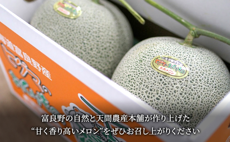 【2026年夏発送】富良野産 ヒグマのおくりもの(メロン)[4玉 計8kg以上]フルーツ 果物