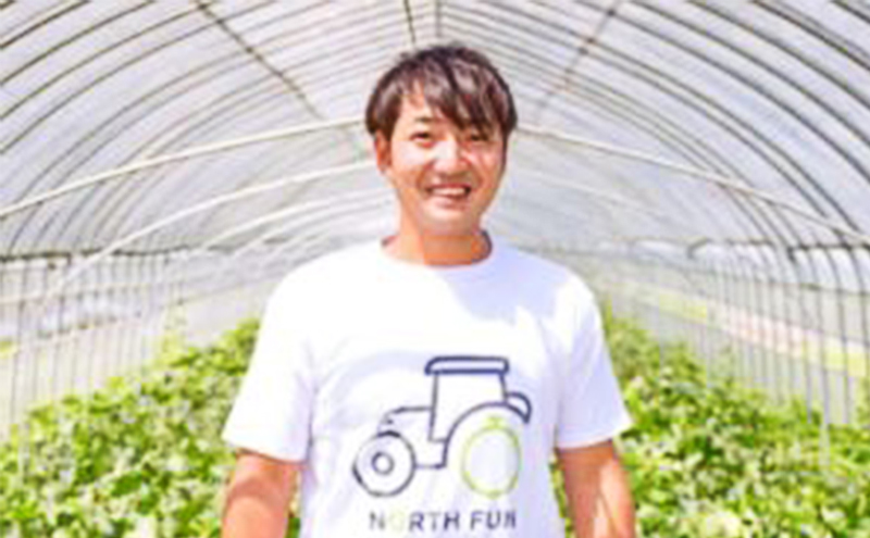 【2026年夏発送】富良野産 ヒグマのおくりもの(メロン)[4玉 計8kg以上]フルーツ 果物