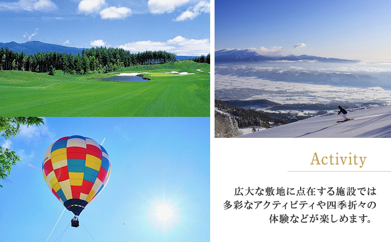 新富良野プリンスホテル 宿泊券 ワーケーションルーム  (ホテル 宿泊 素泊まり チケット 旅行 体験 トラベル リゾート 北海道 富良野市 ふらの)