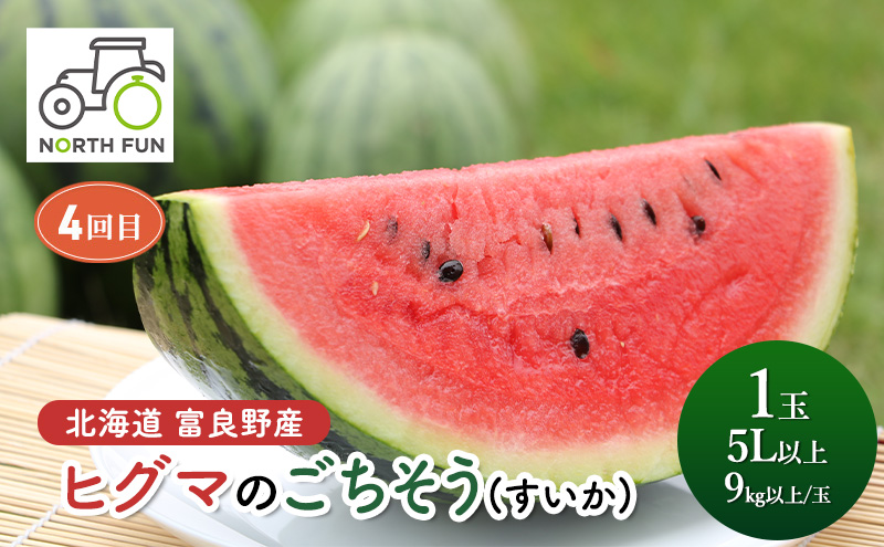 【2026年春から全4回】北海道富良野市の自慢の野菜＆果物を春から贅沢に味わい尽くす！NORTH FUN が贈る感動定期便