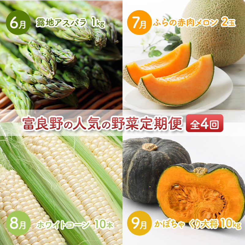 2026年夏～発送 富良野の人気の野菜 定期便 年4回  北海道 富良野産 とうもろこし メロン かぼちゃ 野菜 ふらの とうきび アスパラ かぼちゃ 美味しい 甘い