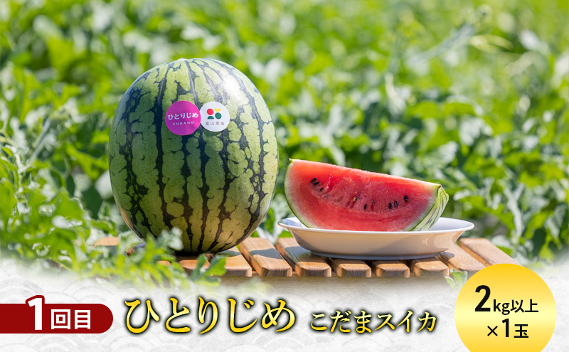 ãå®æäŸ¿5åã倧æºè¶³ïŒèªæ
¢ã®åæµ·éãµãã®éžå 人æ°åå è©°ãåãã ã銳走 å®æäŸ¿ ã¹ã€ãŒã ããŒãº ã¯ã€ã³ ãžã³ã®ã¹ã«ã³ ã¡ãã³ ã¹ã€ã« éè æç© å å·¥å ä¿åé£ é
