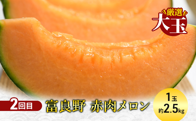 ãå®æäŸ¿5åã倧æºè¶³ïŒèªæ
¢ã®åæµ·éãµãã®éžå 人æ°åå è©°ãåãã ã銳走 å®æäŸ¿ ã¹ã€ãŒã ããŒãº ã¯ã€ã³ ãžã³ã®ã¹ã«ã³ ã¡ãã³ ã¹ã€ã« éè æç© å å·¥å ä¿åé£ é
