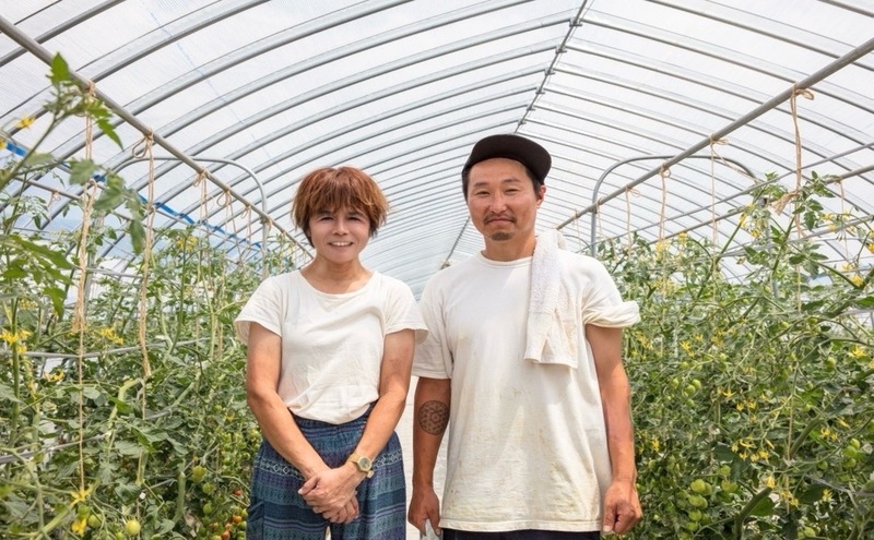 完熟 ミニトマト 100% ストレートジュース 北海道 富良野市 720ml×1本 トマトジュース トマト ジュース 濃厚 野菜 飲料 ソフトドリンク 瓶