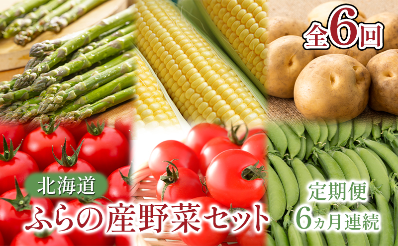 【2025年春～秋発送】北海道 定期便 6ヵ月 連続 全6回 ふらの産野菜セット富良野市 野菜 新鮮 直送 アスパラ スナップえんどう とうもろこし ミニトマト ほれまる さくら じゃがいも 男爵 たまねぎ 道産 ふらの 送料無料 数量限定 先着順