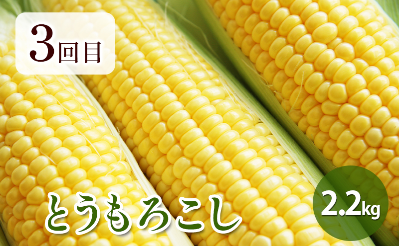 【2025年春～秋発送】北海道 定期便 6ヵ月 連続 全6回 ふらの産野菜セット富良野市 野菜 新鮮 直送 アスパラ スナップえんどう とうもろこし ミニトマト ほれまる さくら じゃがいも 男爵 たまねぎ 道産 ふらの 送料無料 数量限定 先着順