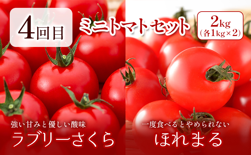 【2025年春～秋発送】北海道 定期便 6ヵ月 連続 全6回 ふらの産野菜セット富良野市 野菜 新鮮 直送 アスパラ スナップえんどう とうもろこし ミニトマト ほれまる さくら じゃがいも 男爵 たまねぎ 道産 ふらの 送料無料 数量限定 先着順