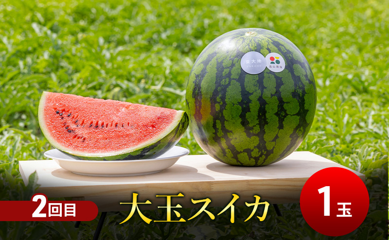 【7・8月 夏の果物 定期便 全2回】メロン×1玉1.6kg～ 大玉スイカ(Lサイズ) 夏大地×1玉 北海道 富良野産 すいか 西瓜 メロン 夏 フルーツ ふらの 甘い 糖度 大玉 ギフト (畠山農園）