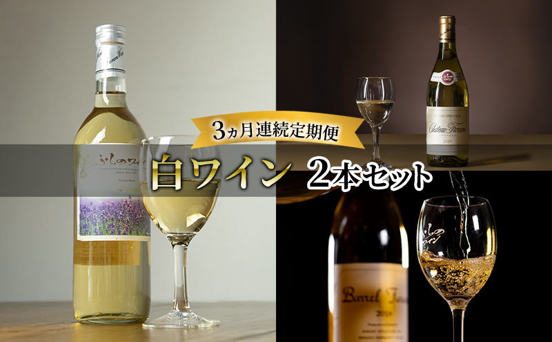 【全3回白ワイン定期便 3ヵ月連続！白ワイン2本セット】※申込の翌月から お酒 酒 ワイン ぶどう 飲み物 アルコール 北海道 送料無料 道産 富良野市 ふらの