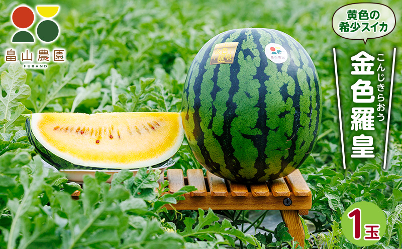 先行予約 富良野産 大玉 スイカ 金色羅皇  2L 7kg 以上×1玉 令和7年産 2026年産 北海道 富良野 ふらの 大玉 すいか 西瓜 果物 くだもの こんじきらおう 黄色 ゴールド 甘い