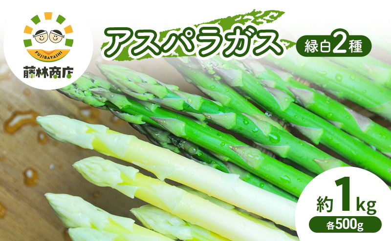 【2026年春発送】数量限定 グリーン アスパラ ホワイト アスパラ 計約1kg アスパラガス 北海道 富良野 新鮮 野菜