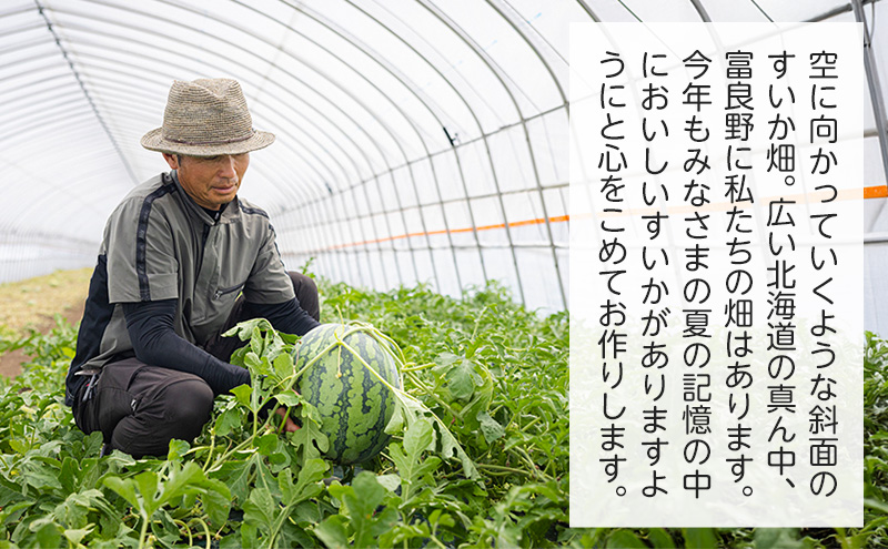 å
è¡äºçŽ å¯è¯éç£ å€§ç ã¹ã€ã« éè²çŸ
ç 2L 7kg 以äžÃ1ç 什å7å¹Žç£ 2026å¹Žç£ åæµ·é å¯è¯é ãµã㮠倧ç ããã è¥¿ç æç© ãã ãã® ããããããã é»è² ãŽãŒã«ã çã