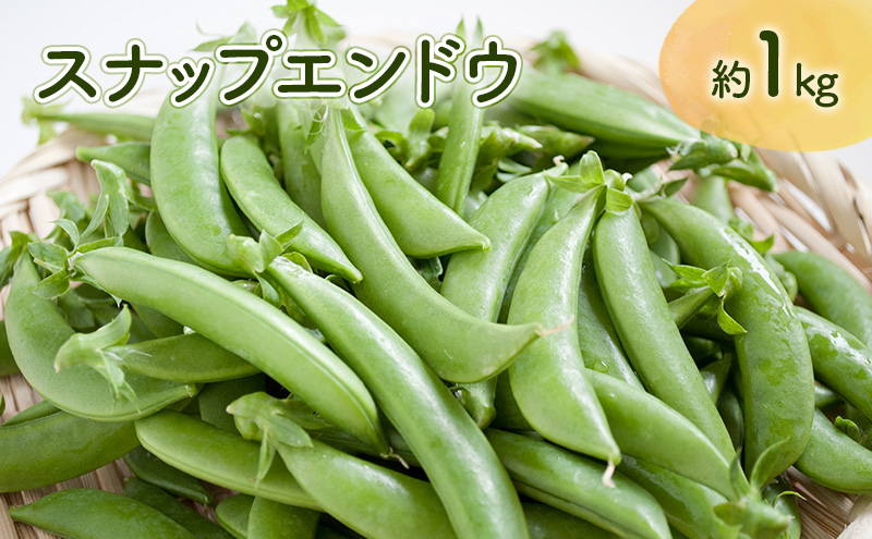 【先行予約】 《収穫次第順次発送》  富良野市産 スナップえんどう 1kg 野菜 旬 新鮮 富良野 エンドウ 豆 スナックエンドウ スナップ えんどう豆 ふらの 畠山農園