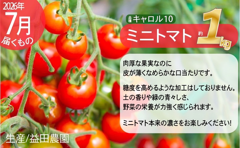 【2026年発送】全3回 富良野 専門農家が選ぶ 旬の贅沢定期便 北海道 富良野市 老節布 野菜 ミニトマト とうもろこし スイートコーン 玉ねぎ たまねぎ 玉葱 白玉ねぎ 甘い