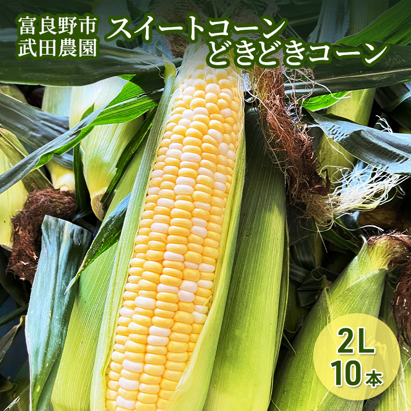 2026年夏発送 ［武田農園とれたて直送］スイートコーン どきどきコーン 2L 10本 北海道 富良野産 とうもろこし 野菜 新鮮 とうきび 甘い 産地直送 先行予約 限定