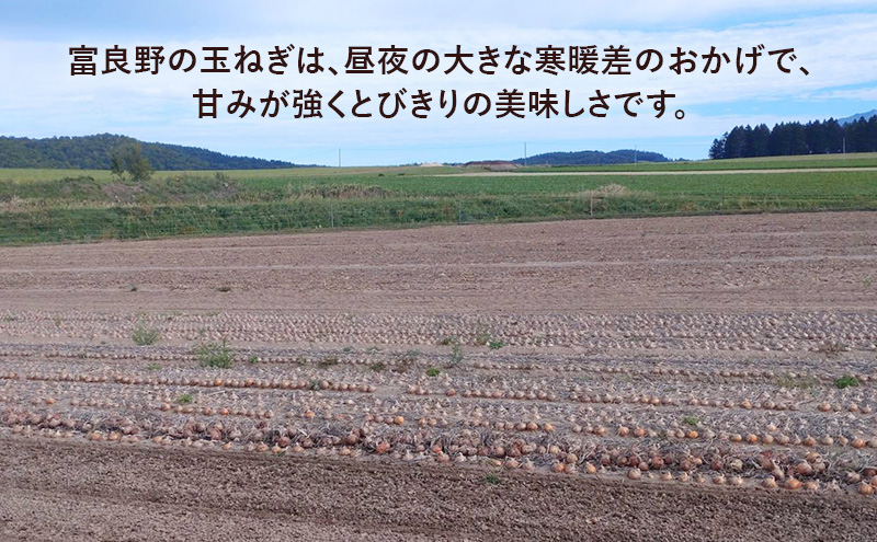 【2026年先行受付】［3か月定期便］富良野産 黄色 玉ねぎ 約5kg（約15～20玉） M～2Lサイズ　野菜 新鮮 直送 黄玉ねぎ 玉葱 玉ネギ 道産 北海道 富良野市 ふらの 幕田農園