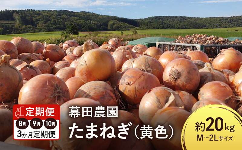 【2026年先行受付】［3か月定期便］富良野産 黄色 玉ねぎ 約20kg（約75～80玉） M～2Lサイズ　野菜 新鮮 直送 黄玉ねぎ 玉葱 玉ネギ 道産 北海道 富良野市 ふらの 幕田農園