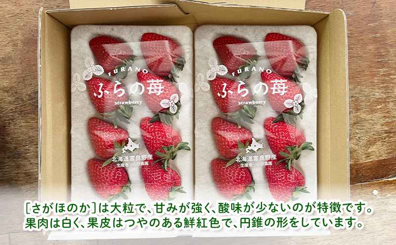 【2026年先行予約】 富良野産 いちご さがほのか 大玉 6～8粒×2パック　［ フルーツ 果物 新鮮 贈り物 ギフト フルーツ 生いちご イチゴ 苺 大粒 甘い 道産 北海道 富良野 ］