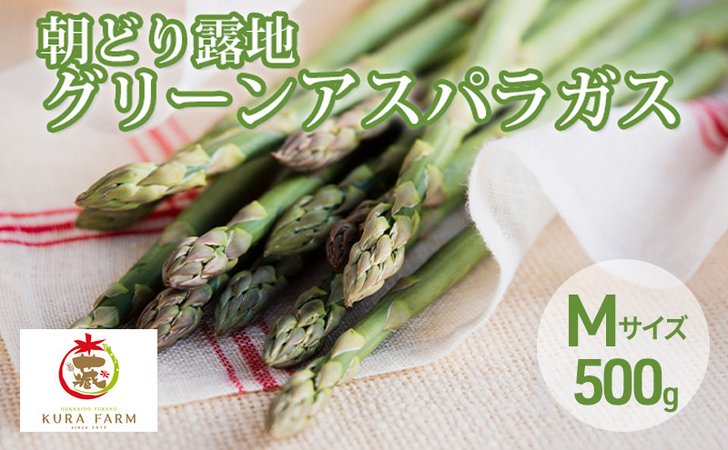 【2026年5月より発送】北海道 富良野市産 アスパラ 緑 約500g 朝どり 露地 グリーン アスパラガス 詰め合わせ 野菜 新鮮 数量限定 先着順【藏ファーム】