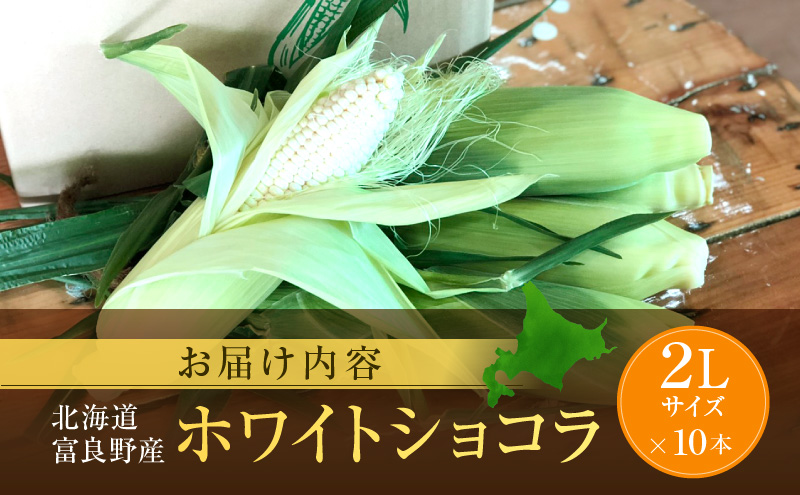 【2026年7月発送】富良野産 ホワイトコーン『ホワイトショコラ』BIG 2Lサイズ10本 とうもろこし