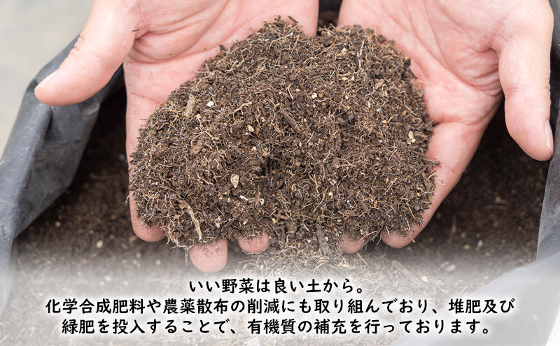 2026年春発送！ふらの グリーンアスパラ 約1.5kg [ 数量限定 先着順 アスパラ アスパラガス 野菜 新鮮 直送 北海道 富良野 ]