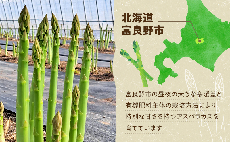 【2026年4月～発送】朝採り 富良野市 グリーン アスパラ 2Lサイズ  約1kg  (仁田原ファーム) 野菜 新鮮 太い 直送 朝採り アスパラガス 道産 北海道 ふらの