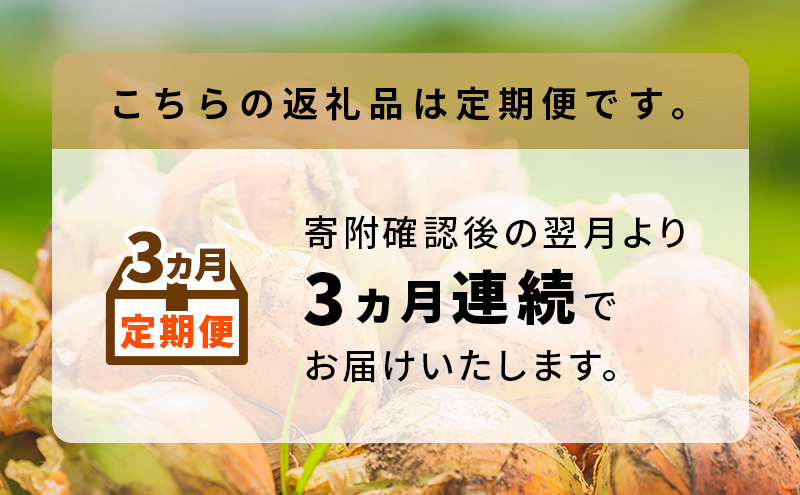 【2026年9月～発送】3ヵ月定期便【北海道富良野産】さかぐちさんのたまねぎ 約10kg（M-Lサイズ混合）定期便 玉ねぎ たまねぎ 野菜 新鮮 直送 道産 北海道 ふらの