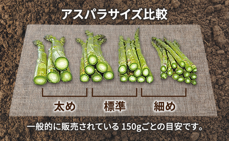 ã2026幎æ¥çºéãå¯è¯éç£ ã¢ã¹ãã© çŽ1kg èŽ
æ²¢ãªå€ªã (Lïœ3Lãµã€ãºæ··å) äžå±±èŸ²å éè