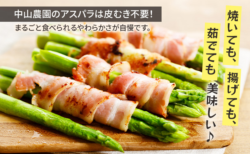 ã2026幎æ¥çºéãå¯è¯éç£ ã¢ã¹ãã© çŽ1kg 现ã (SïœMãµã€ãºæ··å) äžå±±èŸ²å ã¢ã¹ãã©ã¬ã¹ éè