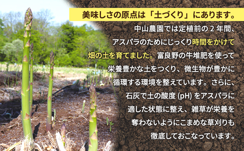 ã2026幎æ¥çºéãå¯è¯éç£ ã¢ã¹ãã© çŽ1kg 现ã (SïœMãµã€ãºæ··å) äžå±±èŸ²å ã¢ã¹ãã©ã¬ã¹ éè