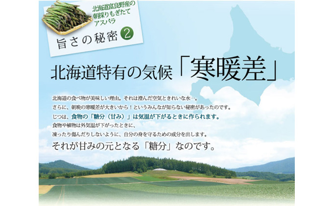 【数量限定！】ふらの産☆生で食べれるアスパラ【500g】30本前後 サイズ混合 野菜 アスパラガス