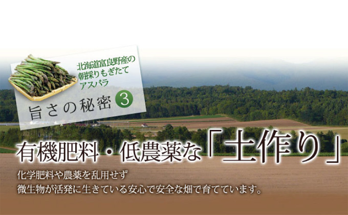 【数量限定！】ふらの産☆生で食べれるアスパラ【500g】30本前後 サイズ混合 野菜 アスパラガス