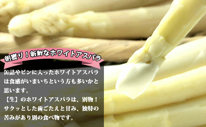 【2027年春発送】グリーン・ホワイト アスパラ セット サイズ混合【2kg】100本前後 野菜 アスパラガス 大容量