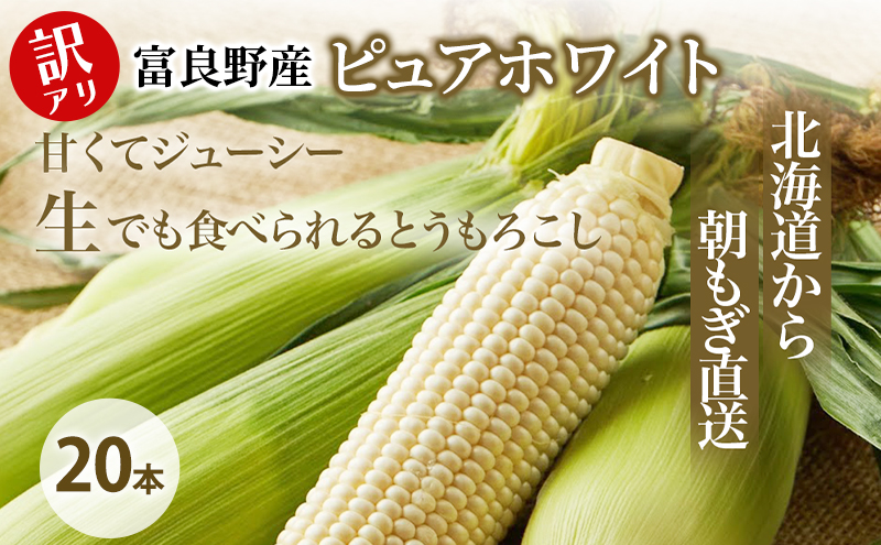 縲2026蟷エ螟冗匱騾√題ィウ縺ゅj 縺ィ縺繧ゅm縺薙@ 繝斐Η繧「繝帙Ρ繧、繝 20譛ャ 蟇瑚憶驥守肇 逕溘〒鬟溘∋繧峨l繧 繧ウ繝シ繝ウ