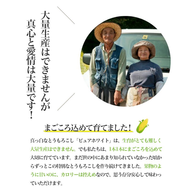 縲2026蟷エ螟冗匱騾√題ィウ縺ゅj 縺ィ縺繧ゅm縺薙@ 繝斐Η繧「繝帙Ρ繧、繝 20譛ャ 蟇瑚憶驥守肇 逕溘〒鬟溘∋繧峨l繧 繧ウ繝シ繝ウ