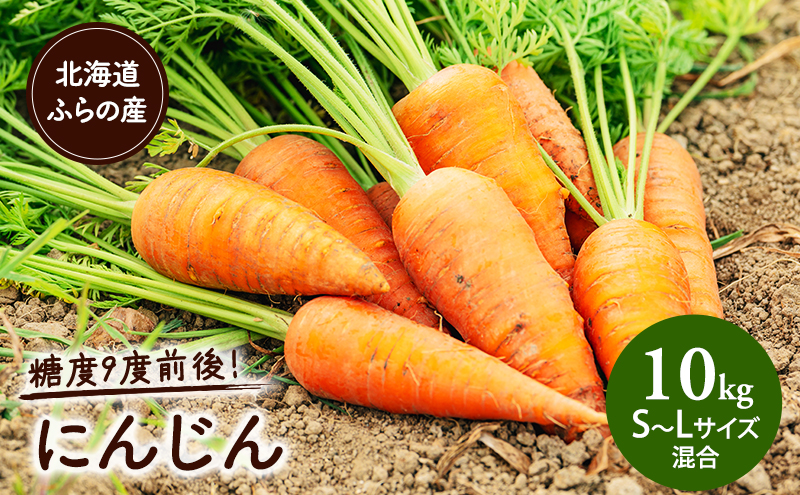 【2025年8月上旬より発送】北海道富良野産 にんじん 【約10kg】 (S～Lサイズ混合) (スイートベジタブルファクトリー) 野菜 新鮮 直送 朝採り にんじん ニンジン 人参 道産 北海道 ふらの
