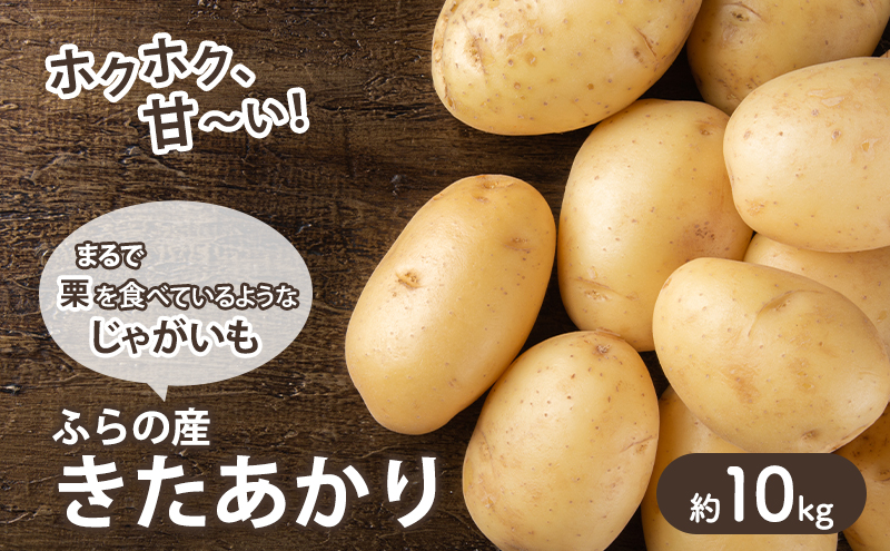 【2026年秋冬発送】甘くてホクホク！じゃがいも きたあかり 約10kg 野菜 新鮮 いも 芋