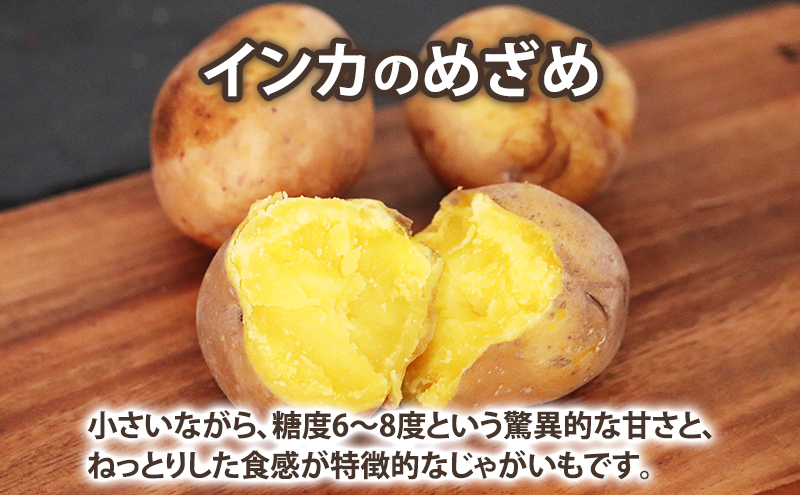2025年10月～発送】濃厚な甘さ！黄金のジャガイモ インカの目覚め 【約