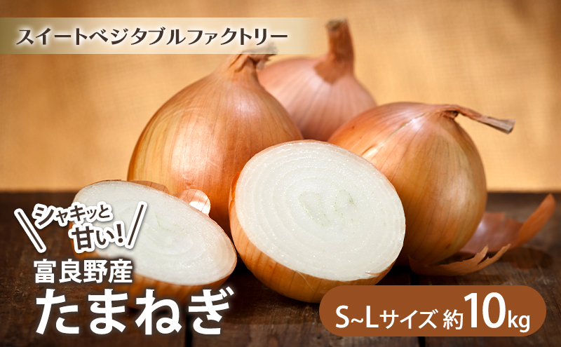 【2026年秋冬発送】北海道富良野産 たまねぎ 約10kg (S～Lサイズ混合) 野菜 玉ねぎ