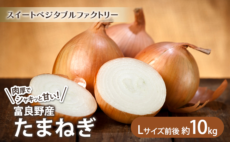 【2026年秋冬発送】北海道富良野産 たまねぎ 約10kg (Lサイズ前後) 野菜 玉ねぎ