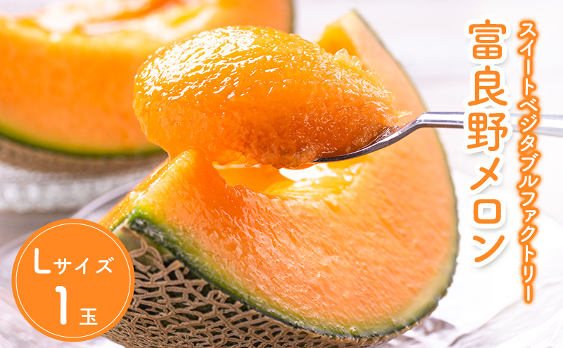 【2026年7月中旬～発送】北海道 富良野 メロン Lサイズ 1.3kg以上×1玉 (スイートベジタブルファクトリー) メロン フルーツ 果物 新鮮 甘い 贈り物 ギフト 道産 ジューシー おやつ ふらの ブランド 夏