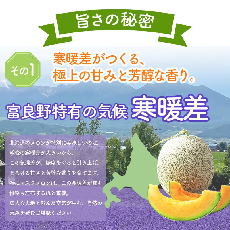 【2026年夏発送】北海道 富良野 メロン Lサイズ 2玉 計2.6kg以上 フルーツ 果物