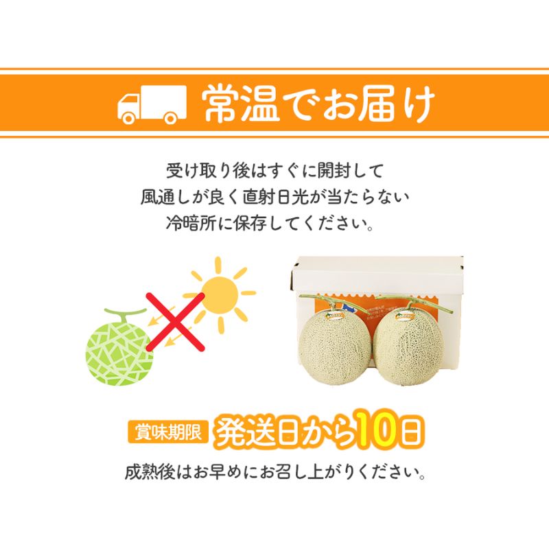 【2026年夏発送】北海道 富良野 メロン 3Lサイズ 約2kg×1玉 フルーツ 果物