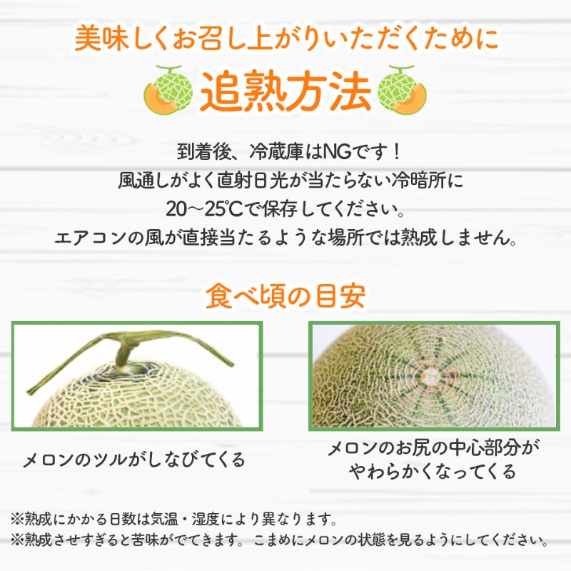 【2026年夏発送】北海道 富良野 メロン 特大 4Lサイズ 2.5kg以上×1玉 フルーツ 果物
