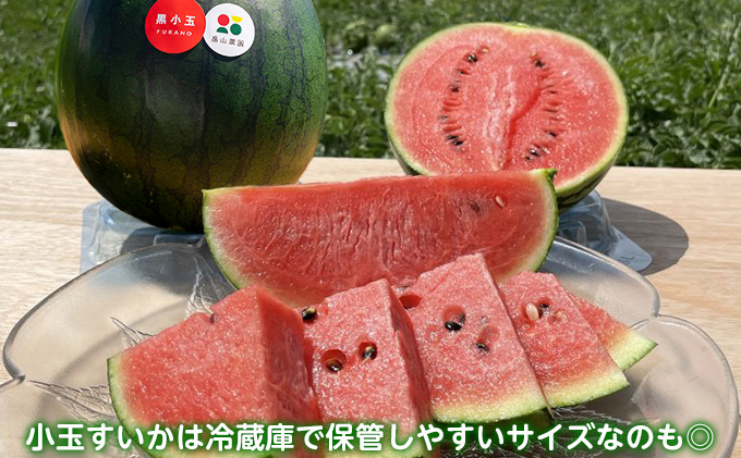 【2026夏発送】黒こだま スイカ 1玉 (2kg以上) 北海道 富良野産 すいか 西瓜 夏 フルーツ ふらの 甘い 糖度 小玉 (畠山農園)