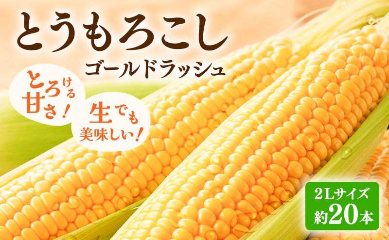 【2026年先行受付】富良野産 とうもろこし ゴールドラッシュ 約20本 コーン とうきび トウモロコシ 2Lサイズ 野菜 甘い BBQ 北海道 富良野 ふらの