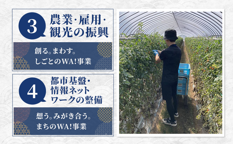北海道 富良野市 寄附のみの応援受付 50,000円コース（返礼品なし 寄附のみ 50000円）